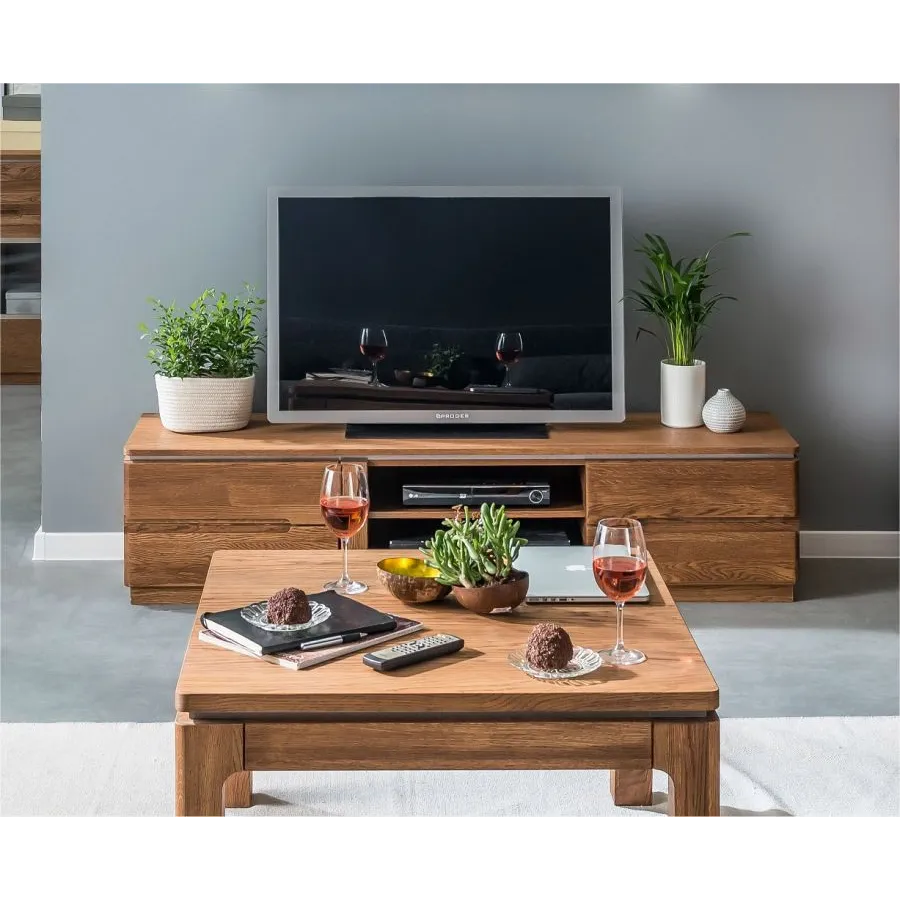 Meubles TV en bois pour salon collection MONTE