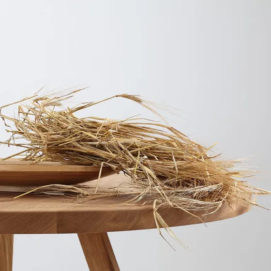 Table en bois massif collection Nopp