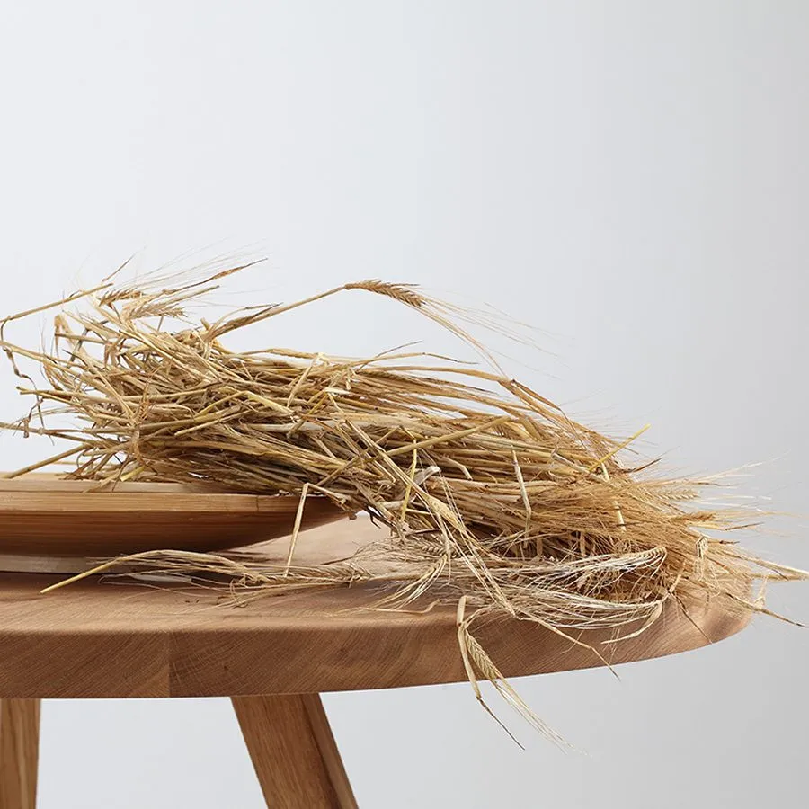 Table en bois massif collection Nopp